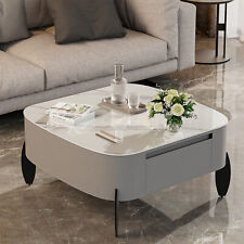 Coffee Table Metal Leg Marble Tabletop Storage Accent End Table for Living Room