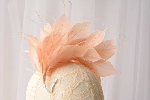 Colours goose feather - goose,