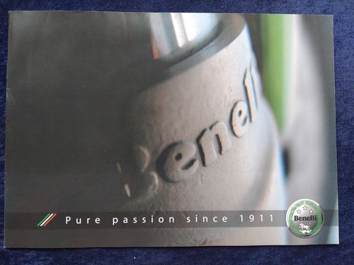 2007 benelli tnt 899 - 2007,
