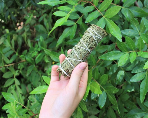 Cedar sage smudge stick - stick, wand