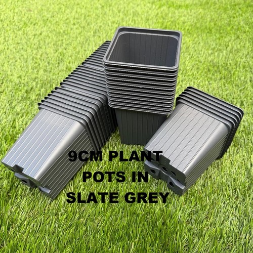 9cm square plant - 9cm, pots