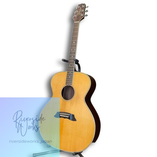 Takamine electric acoustic - electric,