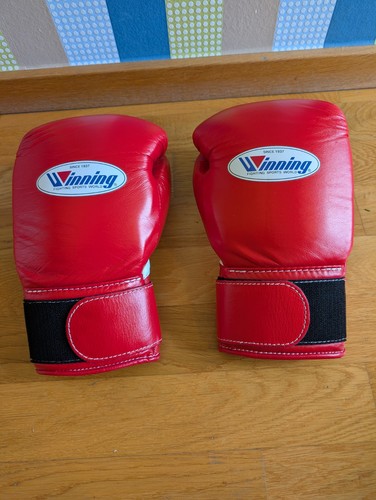 Winning boxing gloves - winning,