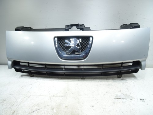 Peugeot expert front grill - front,