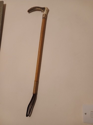Antique deer antler riding - deer,