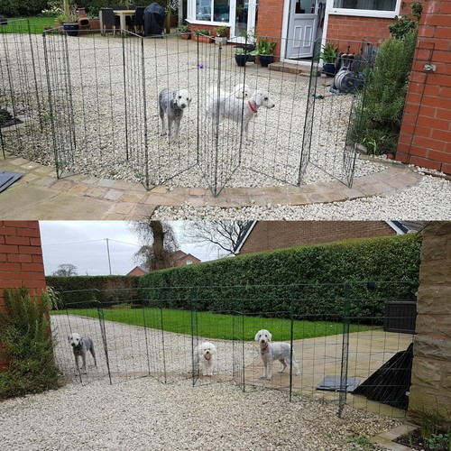 Foldable dog fence barrier - fence,