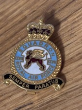 Royal Air Force Enamel Metal