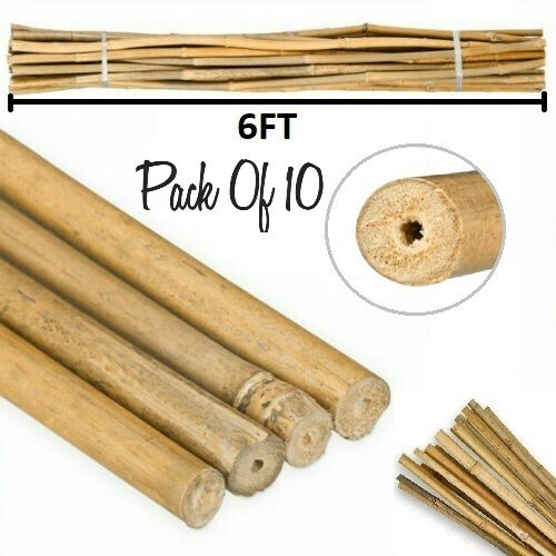 10x 6ft strong bamboo canes - 10x,