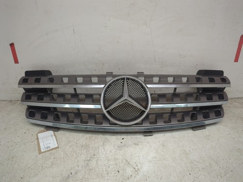 Mercedes front grille - front,