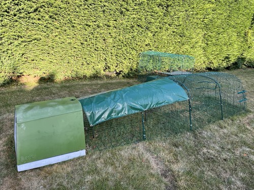 Omlet eglu rabbit run and - omlet,