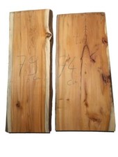 1 x yew wood yew wood precious
