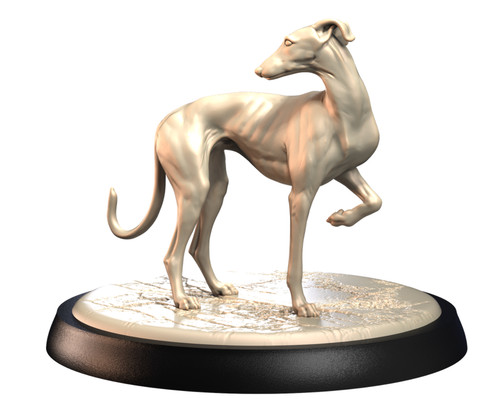 Dogs2 spanish greyhound - spanish, 2