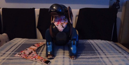 Sony aibo set custom - sony,