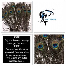 Natural Peacock Eye Feathers 5