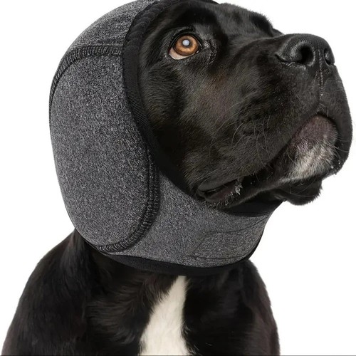 Noise canceling pet - noise-canceling, ear
