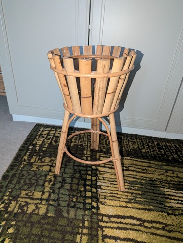 Vintage bamboo plant - bamboo,