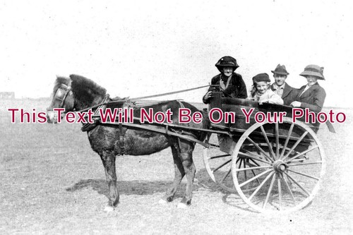 688 pony trap - 688,