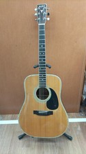 K.YAIRI Acoustic YW-500P