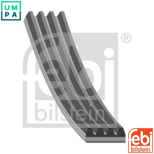 Vribbed belt 28777 - belt,