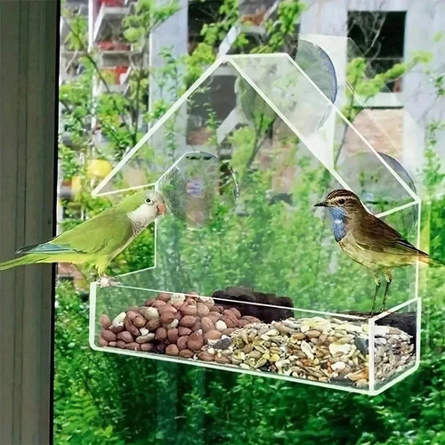House transparent window wild - transparent,