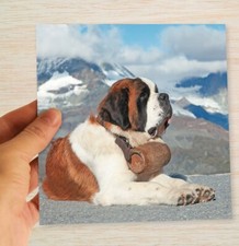 St Bernard Christmas Cards &