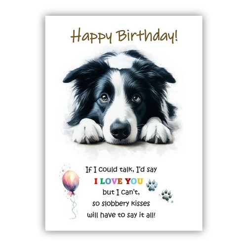 Birthday card from the dog - card,
