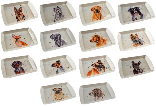 Melamine plastic 23x16cm - plastic, snack