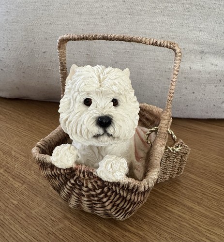 Westie dog west highland - dog,
