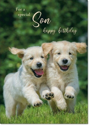 Doodlecards son birthday - birthday, card