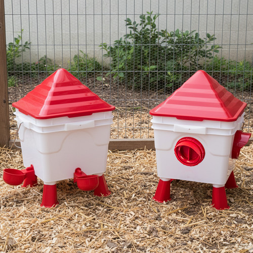Kct raised chicken - kct,