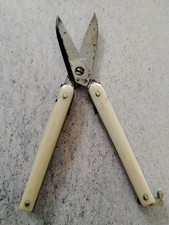 Antique Bone-handled Folding