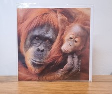 Ani'Mates 3D Holographic