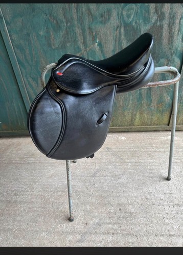 Whitaker barnsley pony - barnsley,