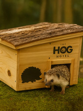 Wooden Hedgehog House Home
