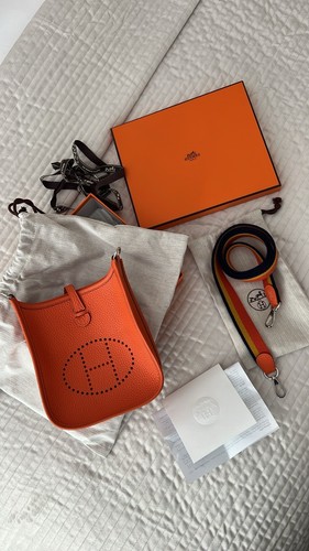 Hermes mini evelyne colour - hermes,