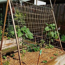 Jute Pea Bean Netting Heavy