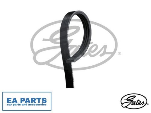 Ribbed belt for suzuki jimny - belt,