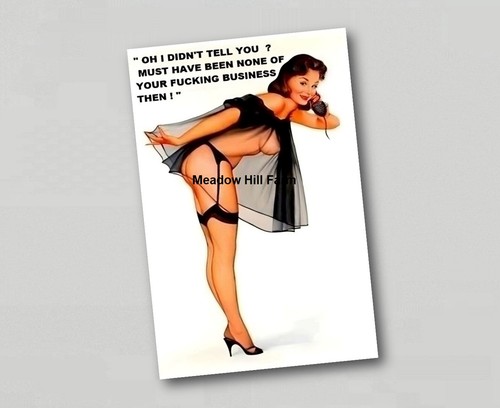 Fridge magnet pin girl - fridge,