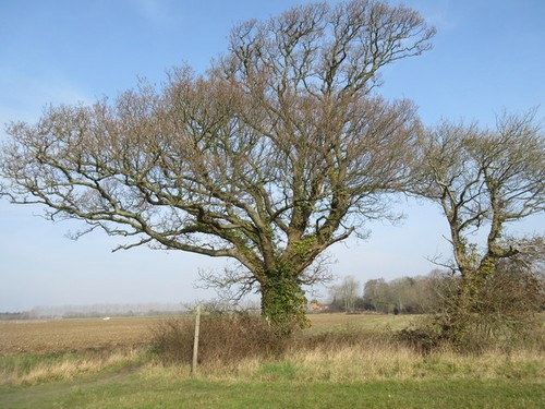 Photo figurepost and tree - a2,