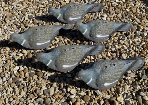 Pigeon decoys set - pigeon, of