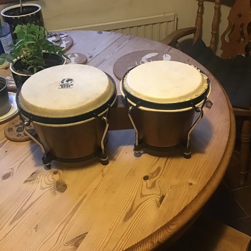 Bongo drums world beat - bongo,