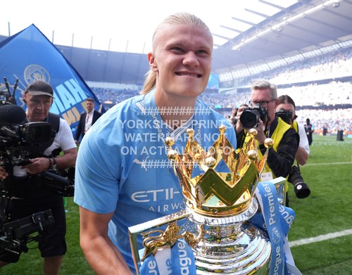 Erling haaland trophy - erling,