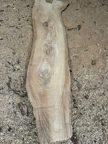 Barn dried roughsawn - dried, wych