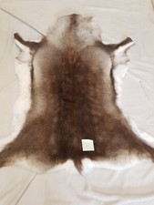 Reindeer Skin Rug Premium XL 60" X 47" . 155cm X 120cm Approx 