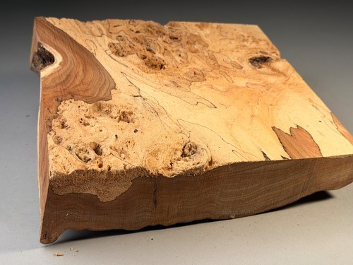 Amazing spalted live edge - live, burr