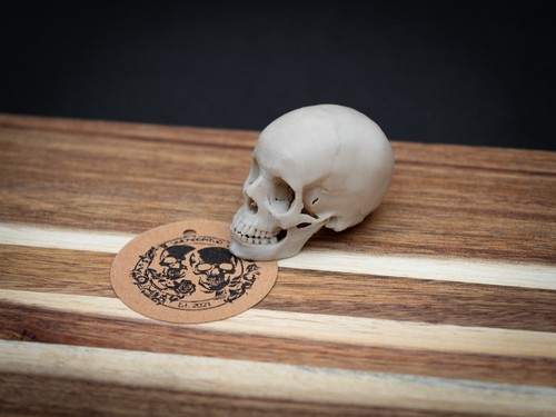 Mini human skull replica - human,