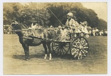 A Decorated Horse & Trap