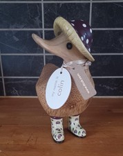 DCUK Colin fungi friends