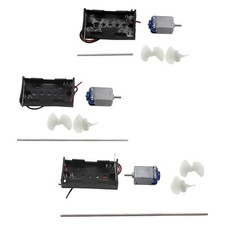 Science Experiment for Kids