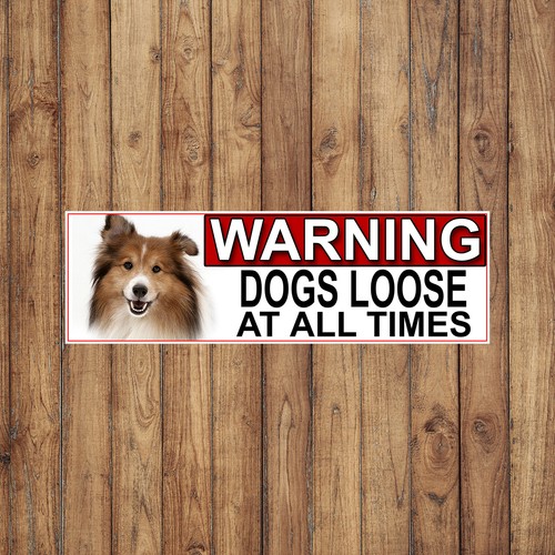 Shetland sheep dog - sheep, warning